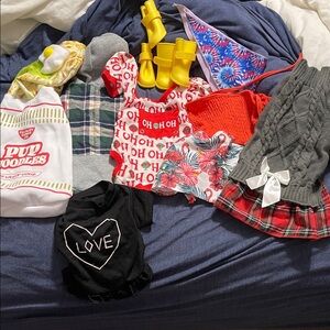 Small girl dog clothing bundle